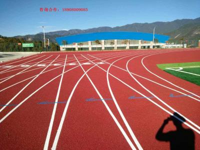 塑膠跑道(dào)工(gōng)程案列